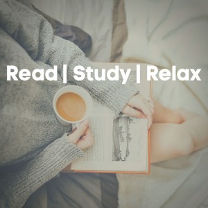 READ / STUDY / RELAX